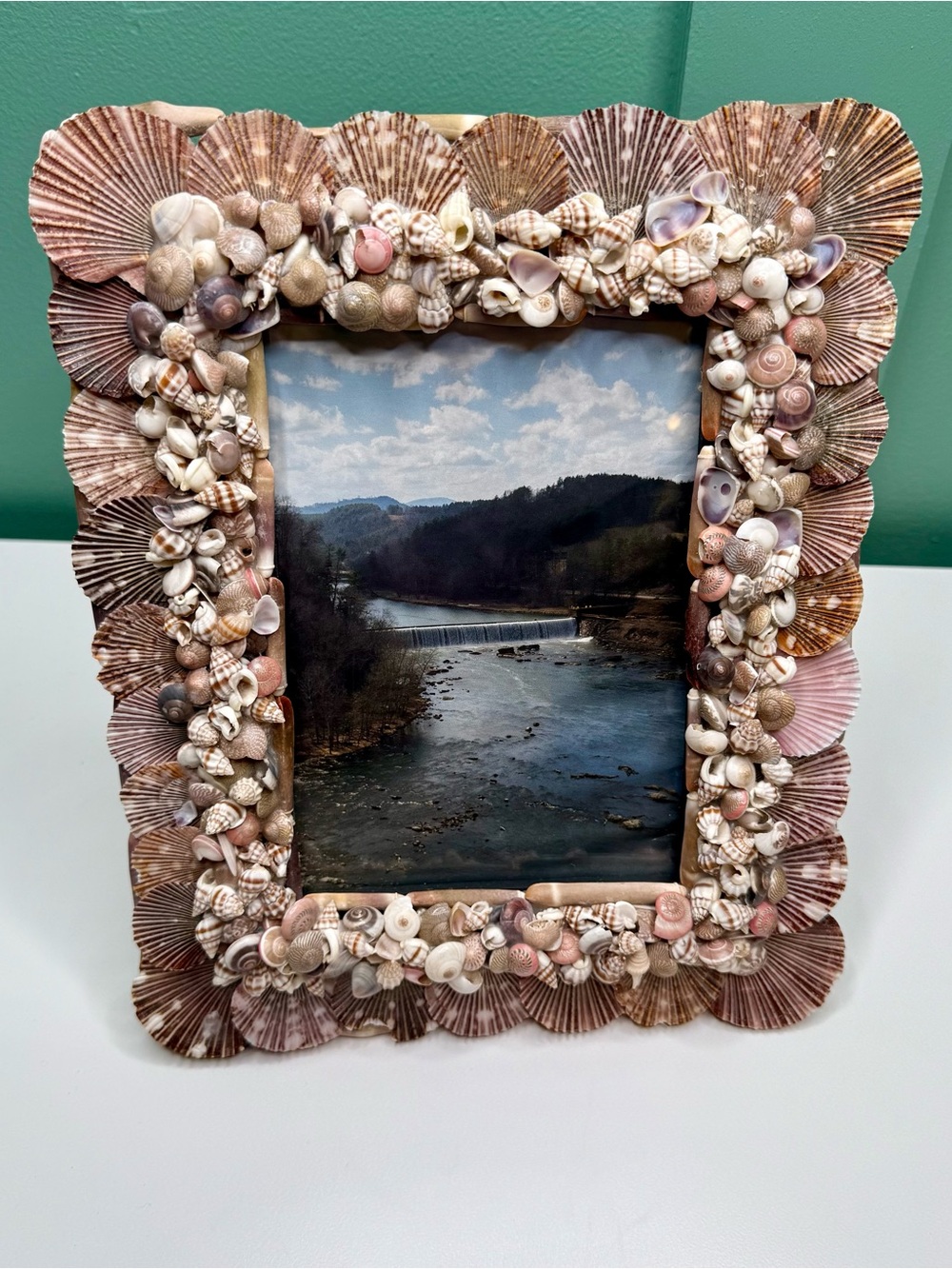 Seashell Shell Photo Picture Frame Natural Coastal Beachy Beach House Decor - Picture 3 of 16
